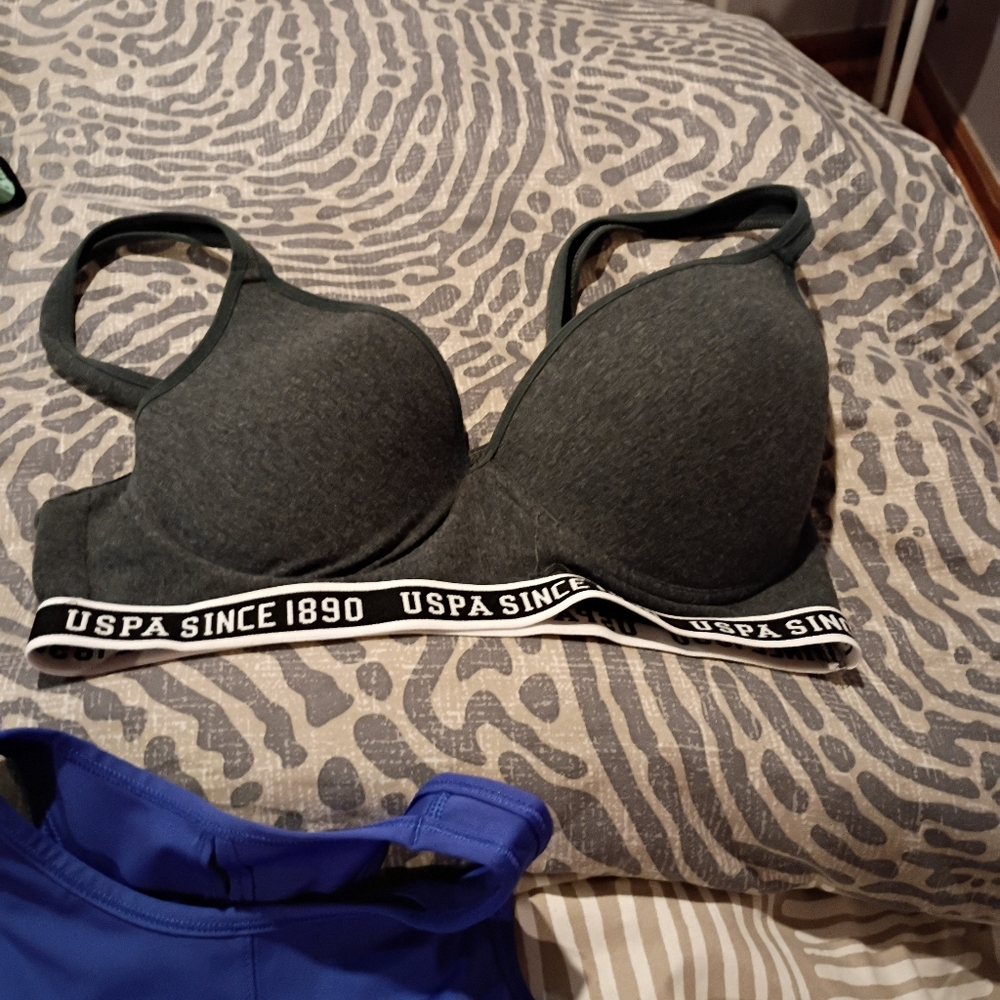 U.S. Polo Assn. Dark Gray Padded Logo-Trim Bra
